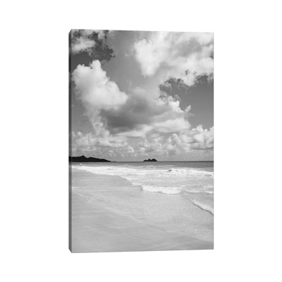 Monochrome Hawaii by Bethany Young - Print on Canvas