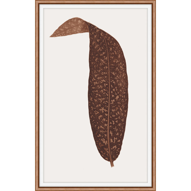 Neoteric Trace 5 Print, 28" H x 19" W x 1" D