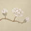 Papier peint arbre Magnolia-103897651