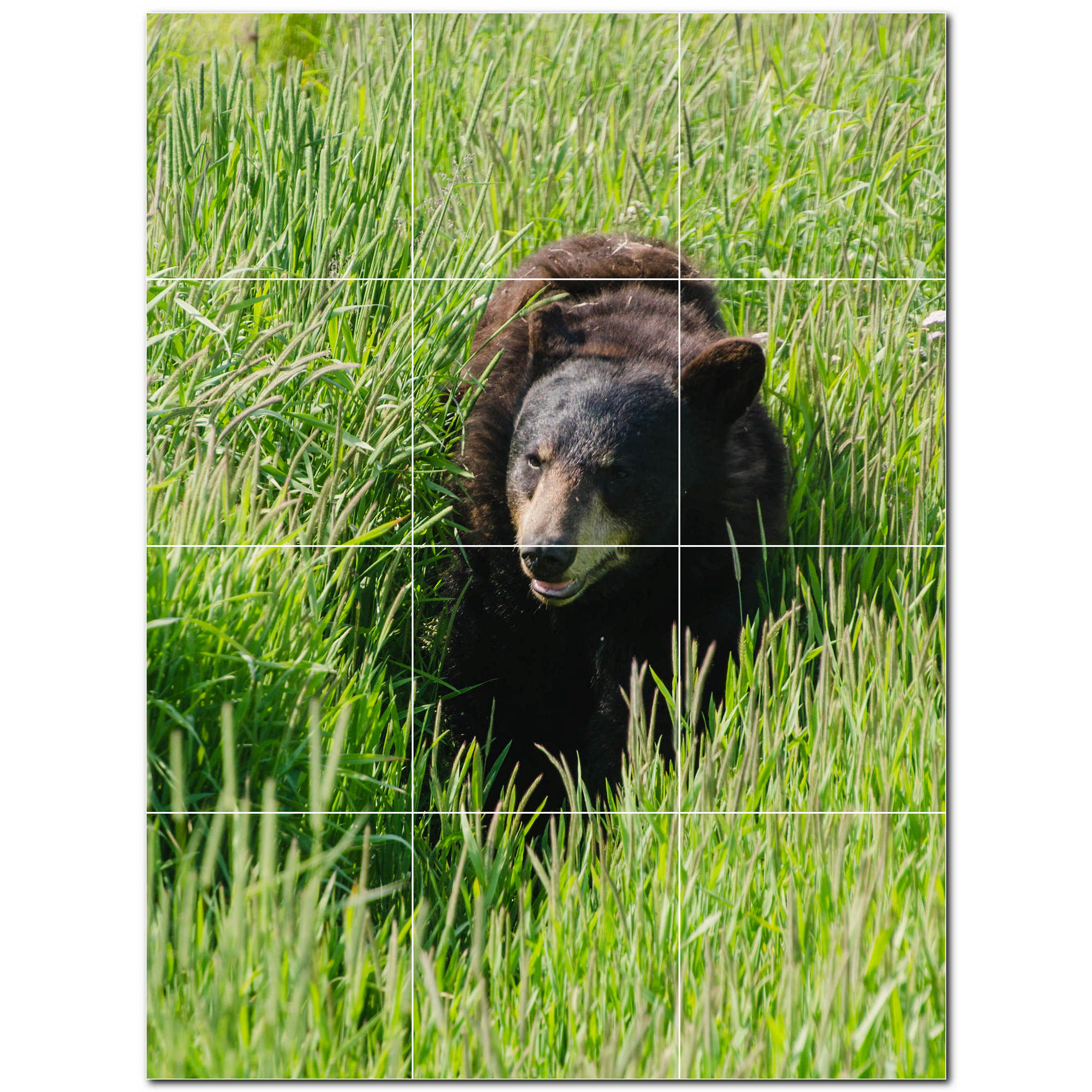 picture-tiles-bear-photo-4-25-x-4-25-satin-ceramic-decorative