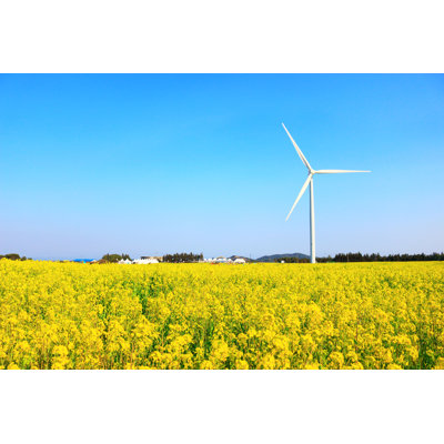 Rape Blossom Festiva - Wrapped Canvas Print