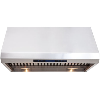 Hotte Sous La Hotte 36" 1000 Cfm