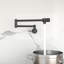 Robinet remplisseur de pot - Robinet d'évier de cuisine mural pliant extensible avec un trou et deux poignées,-116628663