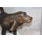 Neasa Hound Dog Statue