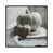 White Floater Frame