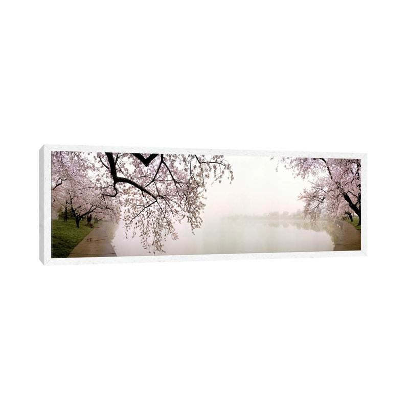 Cherry Blossoms At The LakesideWashington DC, USA by Panoramic Images - Floater Frame Panoramic Gallery-Wrapped Canvas Giclée on Canvas
