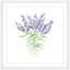 Thimble Sparrow - Single Picture Frame Painting-1868749588