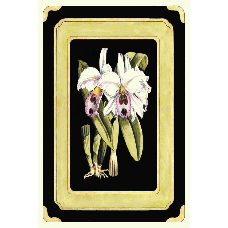 " Orchids On Black II " by J. N. Fitch, 30" H x 20" W  