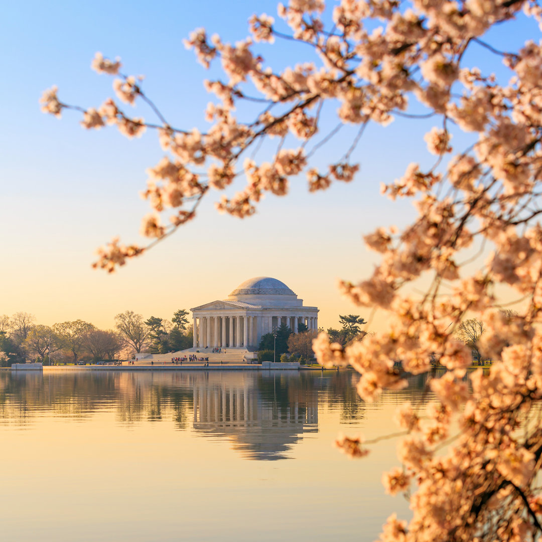 Jefferson Memorial During the Cherry Blossom Festival von F11Photo - Leinwandfoto