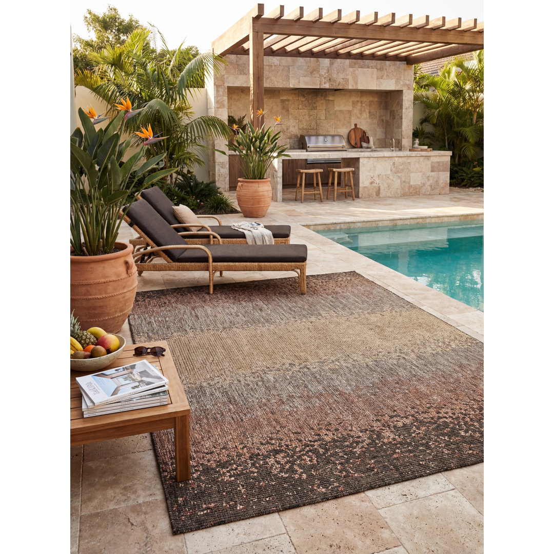 Ombre Indoor / Outdoor Area Rug