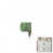 Olive (Green)