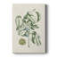 Buchoz Tropicals V - galerie sur mesure Cavas-117868261