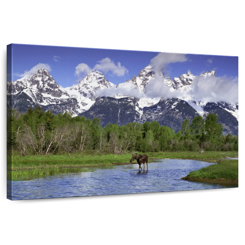 Orignal Alvord à la rivière Teton, H 8 po x l 12 po