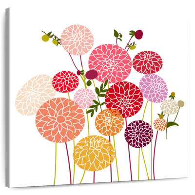 Colorful Round Dahlias