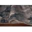 Tapis Sheldrake