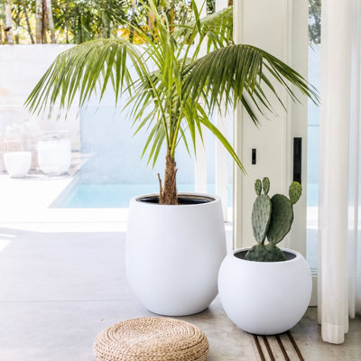 Dorlis Fiberstone Pot Planter