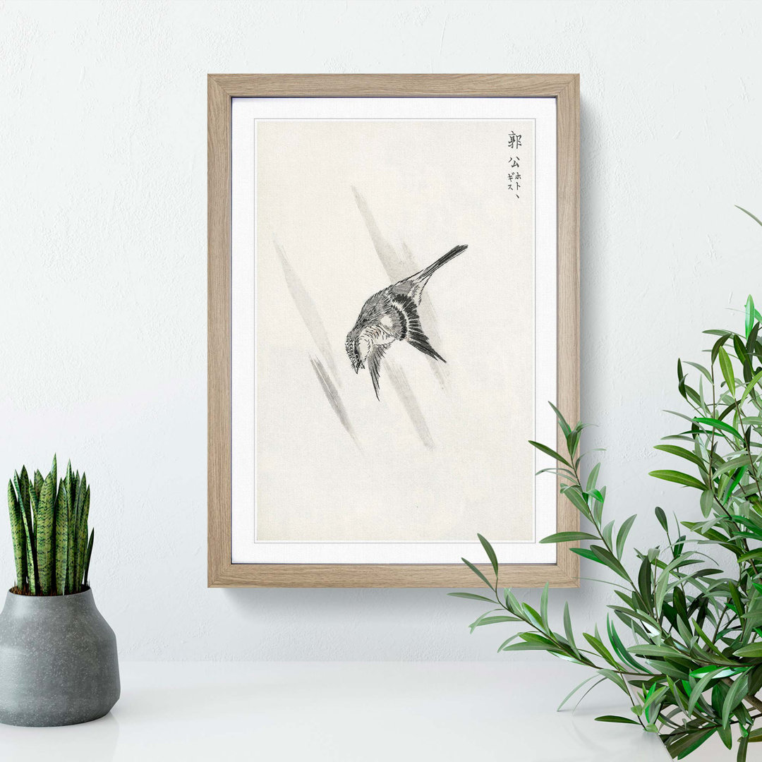 Japanese Cuckoo by Numata Kashu - Framed Print