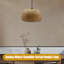 Luminaire suspendu unique à 1 lumière Hayter
