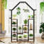 Anacelis Plant Stand
