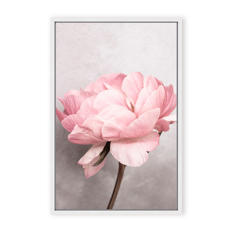 Nature Inspired Peony by  - Picture Frame Photograph on Paper, 48" H x 32" W x 1.125" D, Black, Framed Matted Print