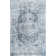 Boylan Oriental Indoor Rug