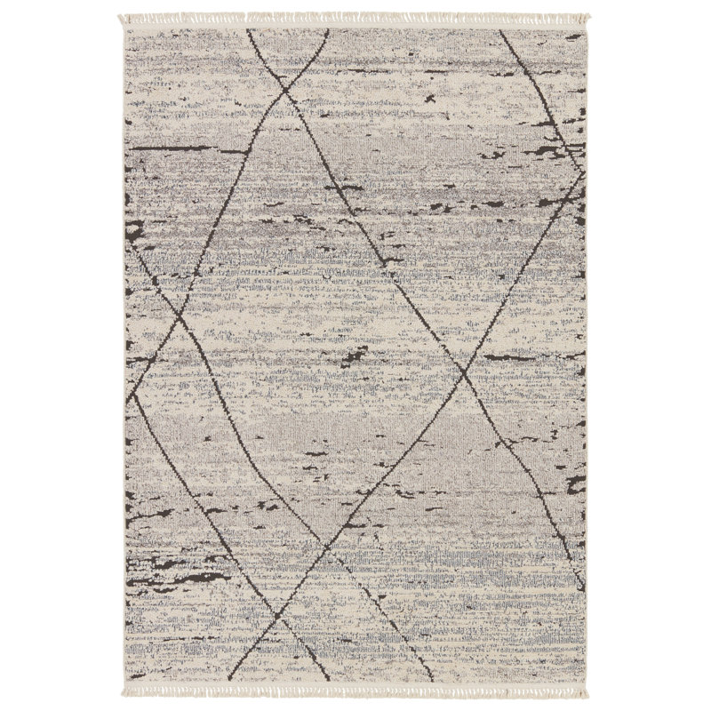Indoor Rug, Rectangle 5' x 7'