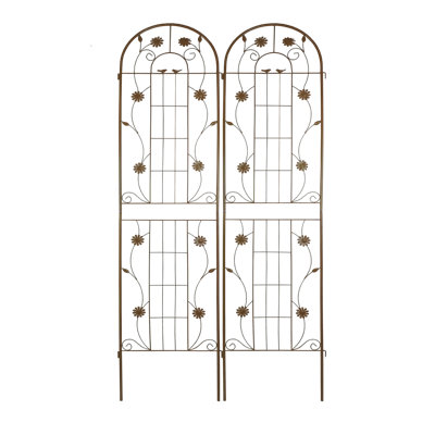 2 Pack Metal Garden Trellis for Climbing Plants - Rustproof Outdoor Flower Support