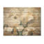 Beige, minimalisme, iris, pétales rayonnants - iris, art mural sur bois de pin naturel-101403132