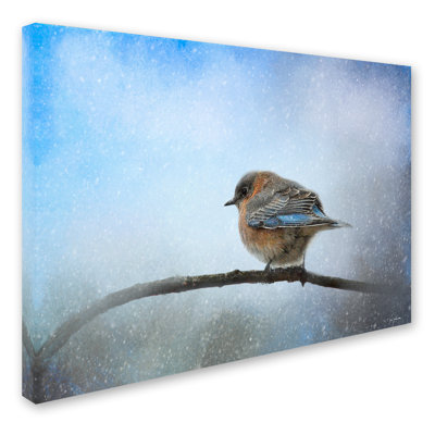 «Bluebird in the Snow» de Vidur, impression sur toile tendue