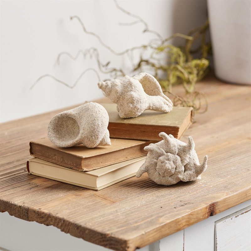 Garniture de coquillage