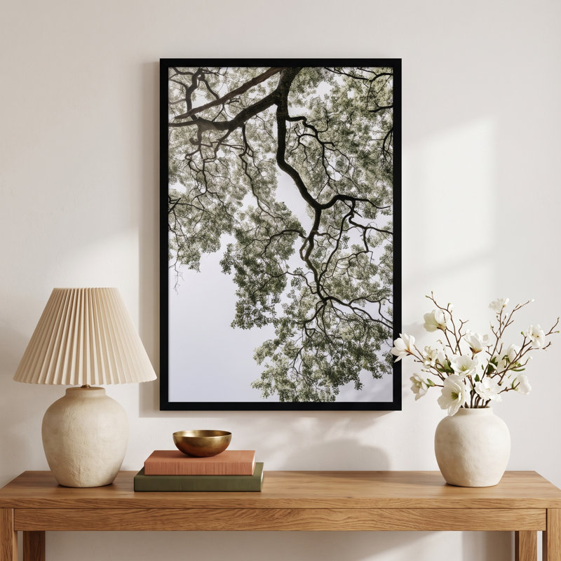 Pleasantville Coastal Forest by Shot by Clint Wood Framed Wall Art Print, Black, 33" H x 23" W
