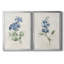 Farmhouse Periwinkle I, toile encadrée de qualité supérieure - prête à être accrochée-368945269-368945270