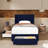 Jeilyn Upholstered Platform Drawer Storage Bed-697361511-702061225