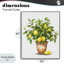 Giclée encadrée de citronnier en pot, design par Shelly Craig-682897663-682897658