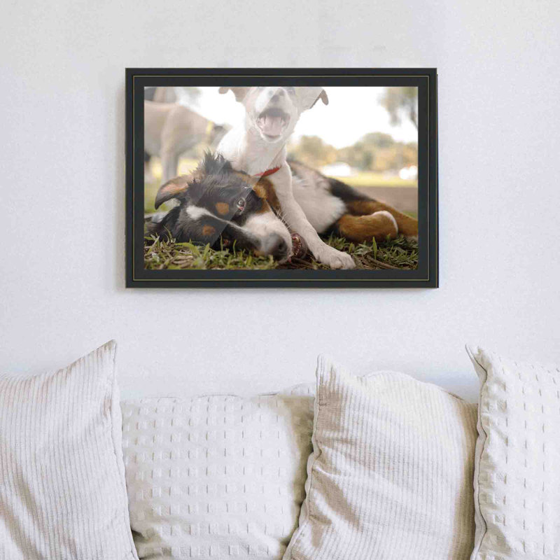 Cadre photo Emmielou, L 10 po x H 16 po, Noir / or
