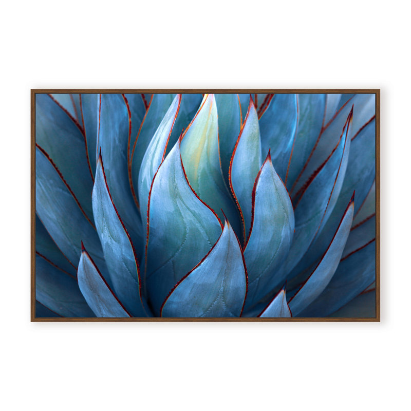 Nature Inspired Blue Agave Abstract by  - Picture Frame Graphic Art on Paper, 16" H x 24" W x 1.125" D, Black