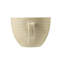 Beat 18 Piece Bone China Dinnerware Set, Service for 6-106869927