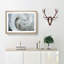 White Rose - Single Picture Frame Painting on MDF-56739387-56739390