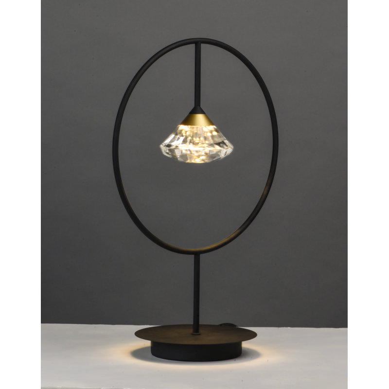 Barrera Metal Novelty Lamp