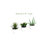 Southwest Collection Silk Agave Plant Set