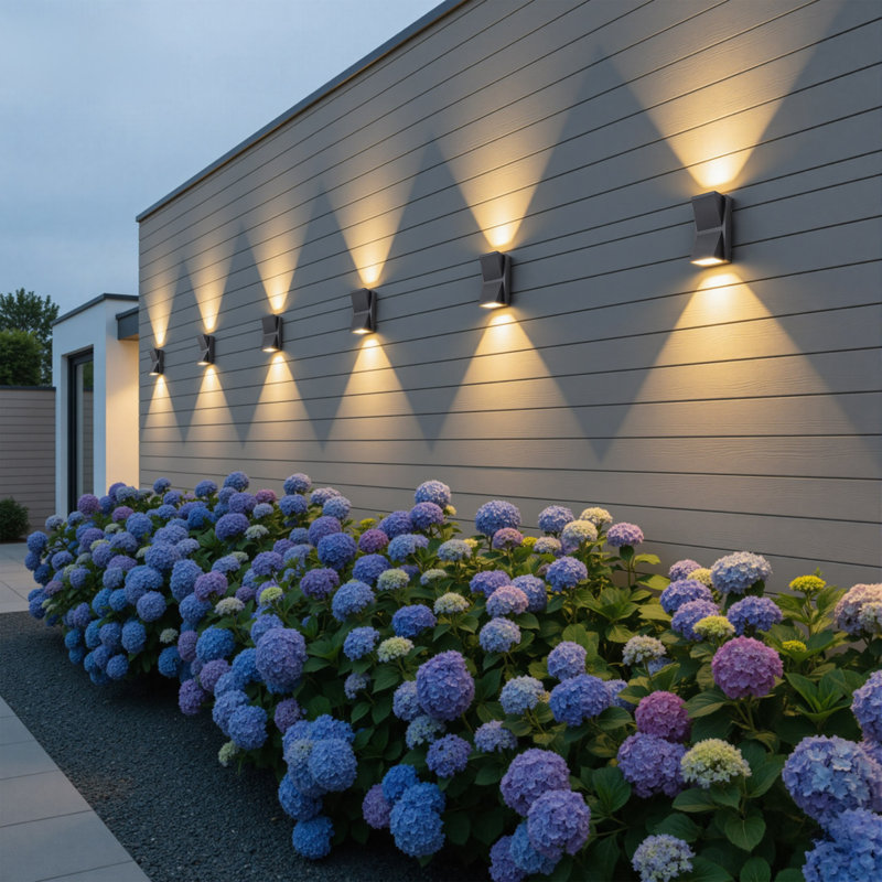2-Light Black Aluminum Outdoor Wall Light(2-Pack)
