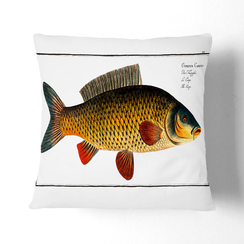 Square Cushion, 55cm H x 55cm W x 20cm D