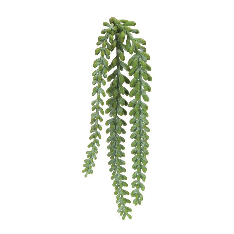 Hanging Sedum Succulent Spray