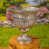 Argent
