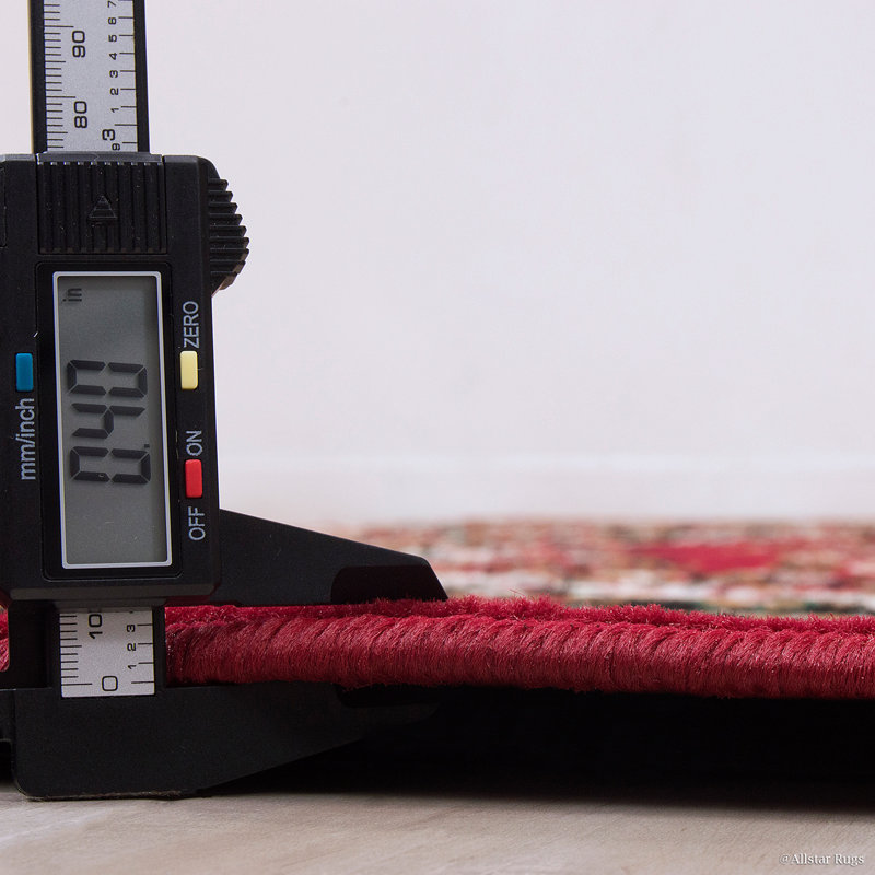 Tapis intérieur / extérieur rouge Karen, Rectangle 8 pi x 10 pi