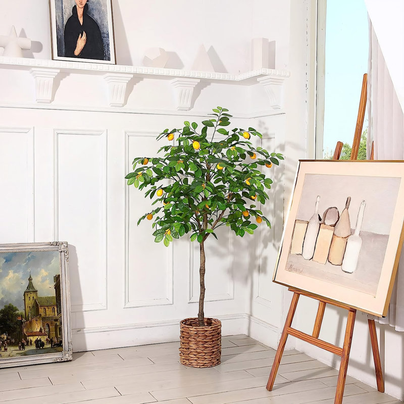 6,4 plante