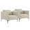 Fauteuil Rae (ensemble de 2)