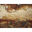 Tapis beige Asif Southwestern-1900327159