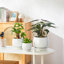 TYHPOT Ceramic Pot Planter-1035786450