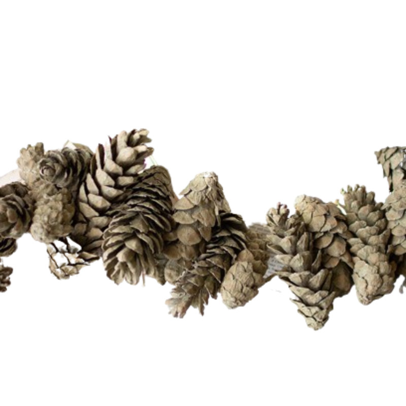 26'' in. Preserved Sage Garland